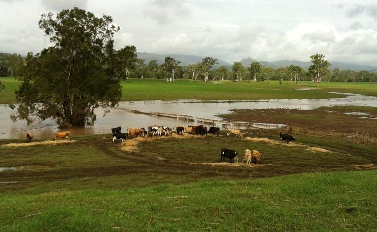 Dave and Leonie Paish's dairy farm in the Boyne Valley has been cut off since Tuesday night. Dave and Leonie Paish's dairy farm in the Boyne Valley has been cut off since Tuesday night.